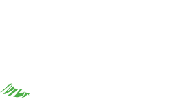 Logo Maler alex Farben & Design in Heide